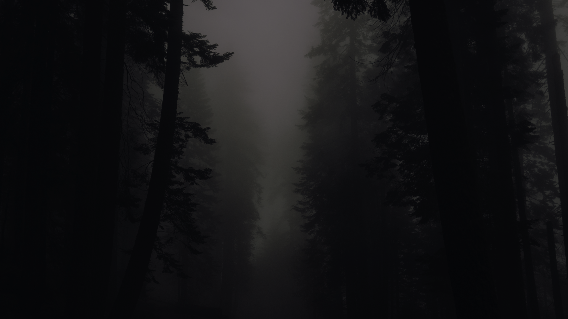 NO_desktop_wallpaper.png