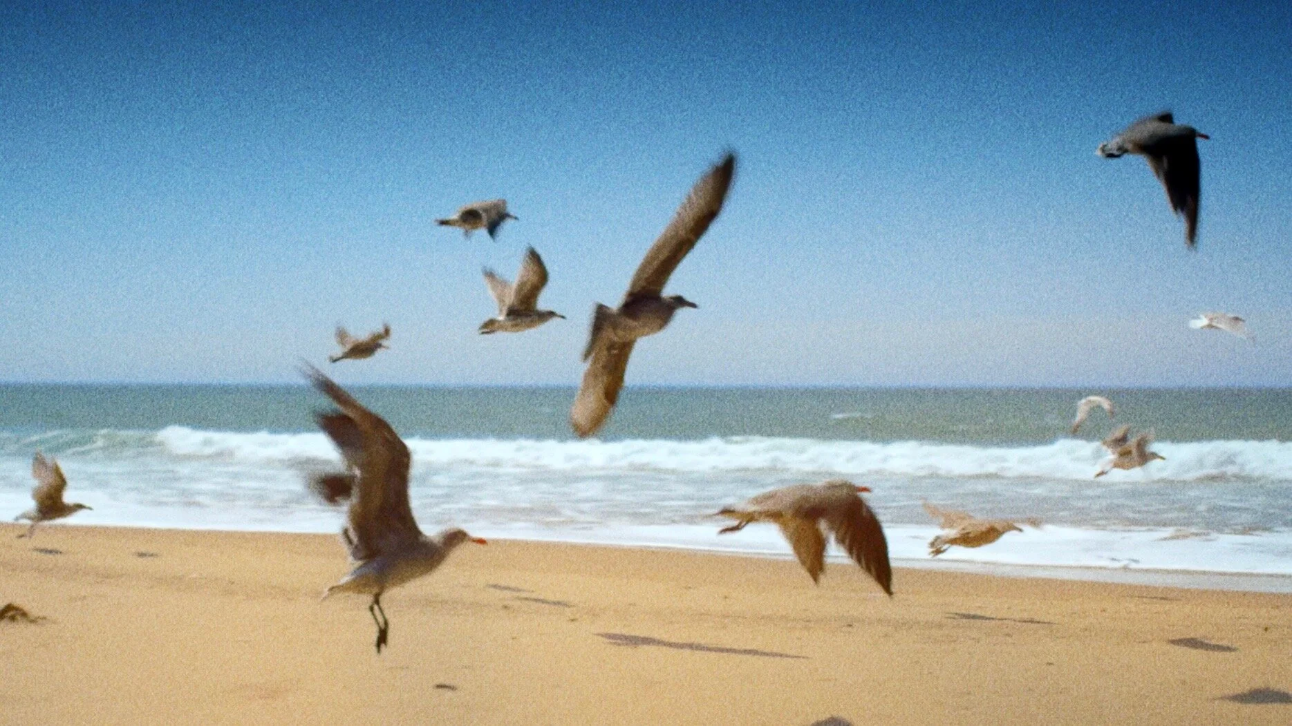 John Baker DP Cinematographer.jpg