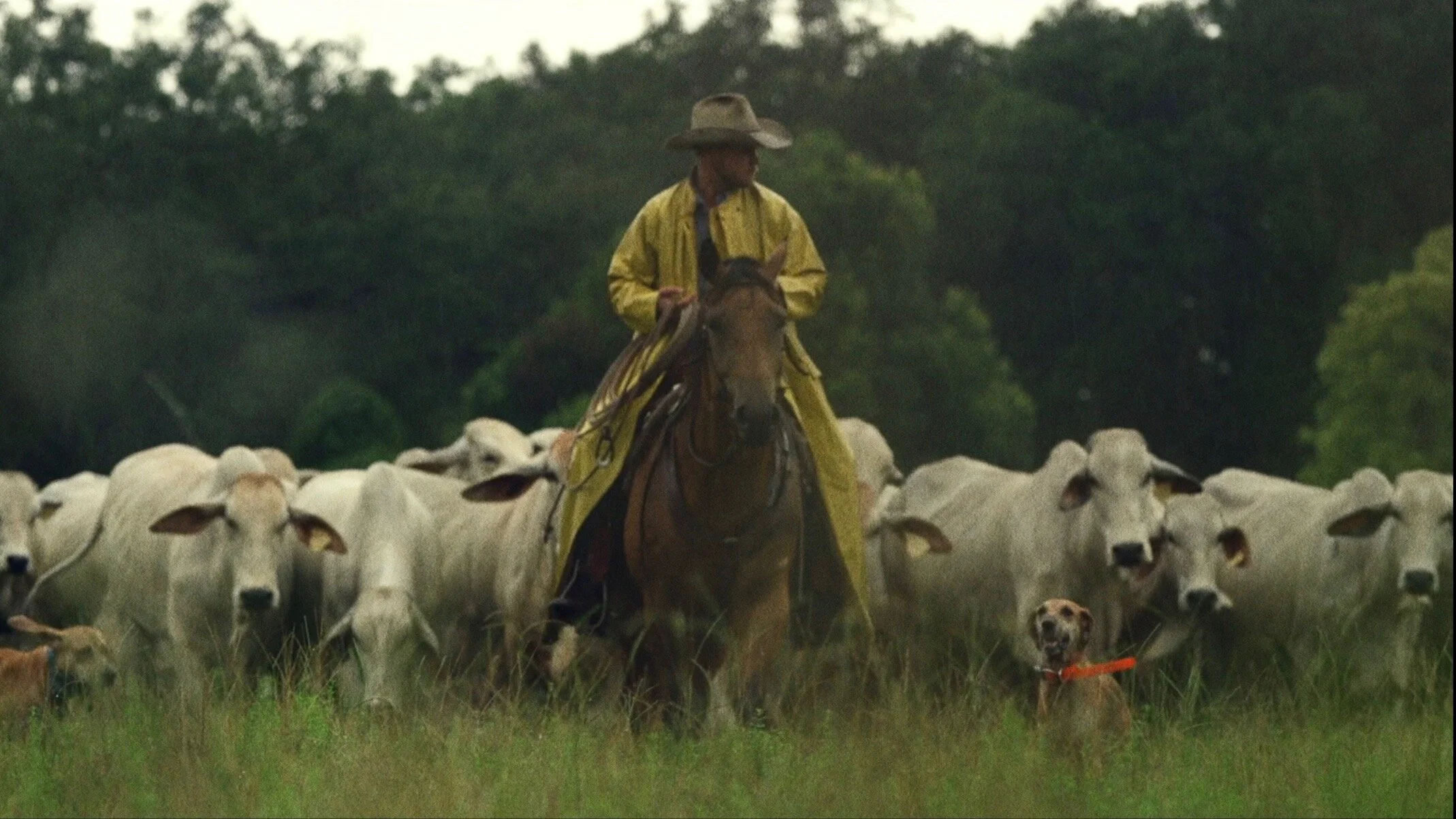 John Baker DP Cinematographer.jpg