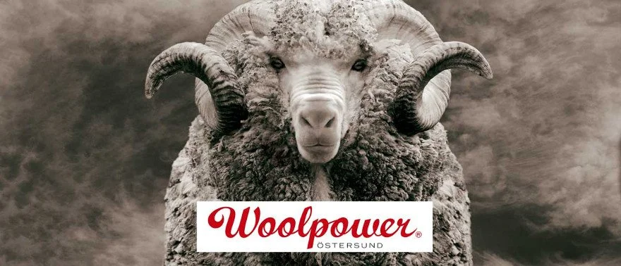 SACC-NE´S NEWEST MEMBER: WOOLPOWER