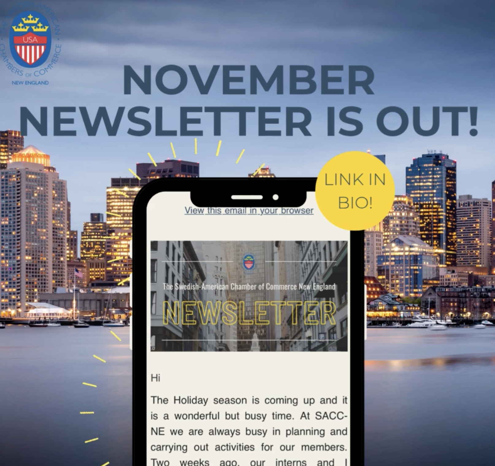 SACC-NE´S NOVEMBER NEWSLETTER IS OUT