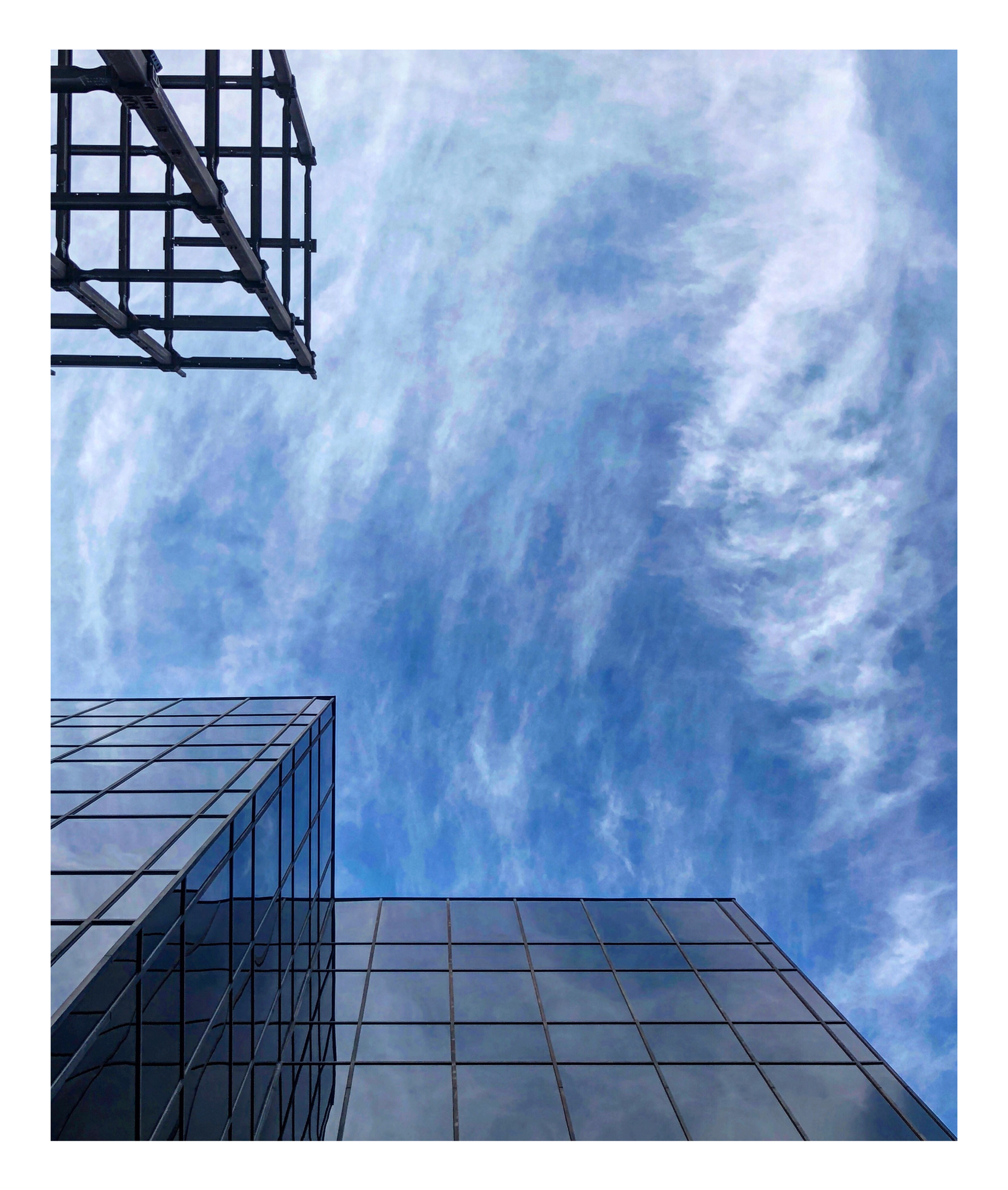 IMG_6131.PNG
