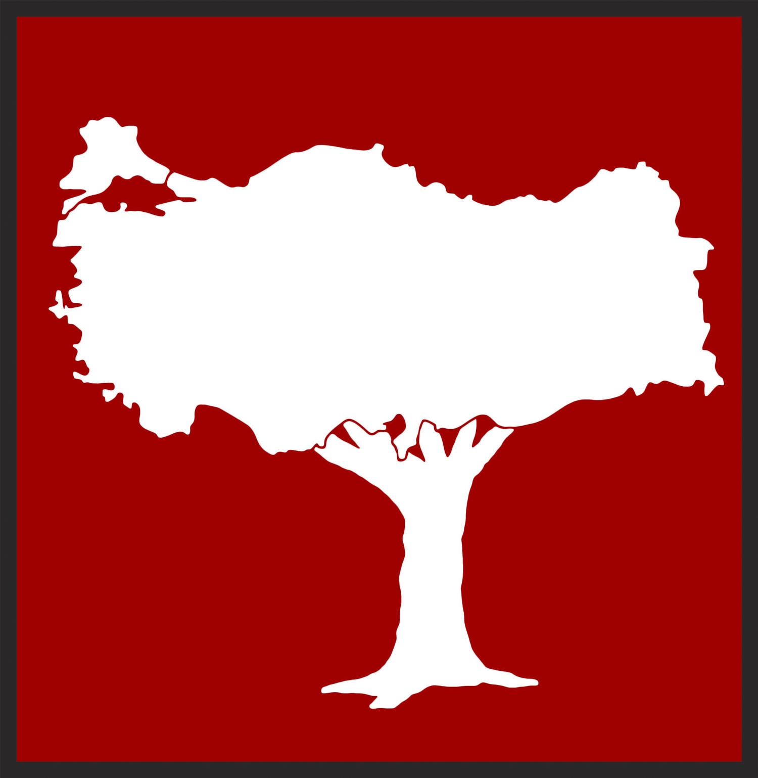 My wife and I created this image in support of the Turkish people during their recent conflict.
