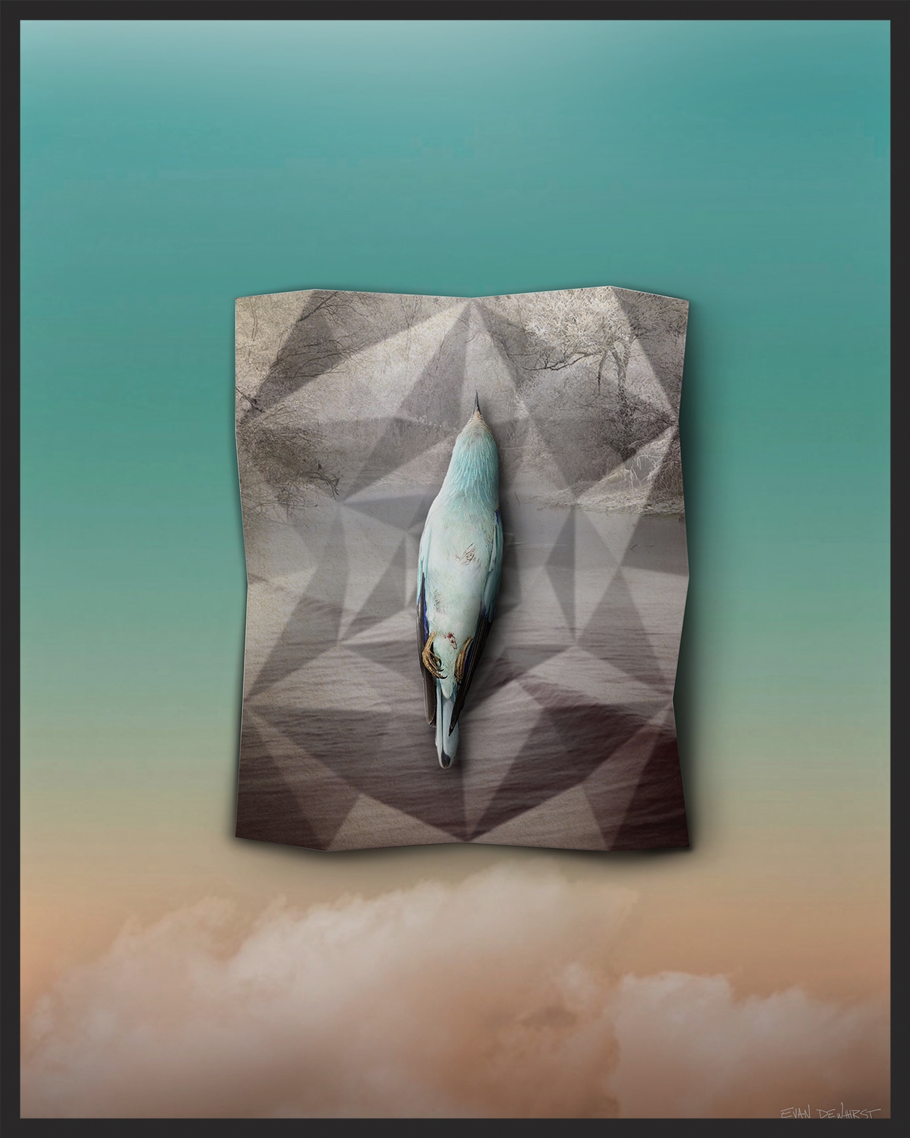 Blue Bird. digital painting.