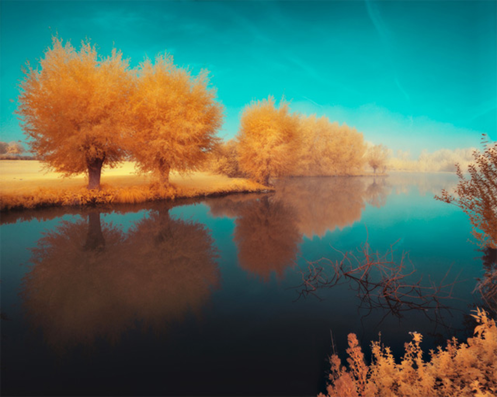 <a href=" http://www.david-keochkerian.com/ " target="_blank">link</a>