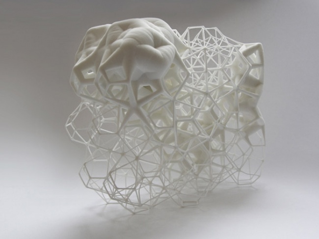 <a href=" http://www.lanciatrendvisions.com/en/article/projects-fractal-forms-and-grid-by-daniel-widrig-explorer-of-digital-design " target="_blank">link</a>