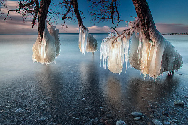 <a href=" http://www.thisiscolossal.com/2013/02/frozen-trees-on-the-shores-of-lake-ontario/?src=footer " target="_blank">link</a>