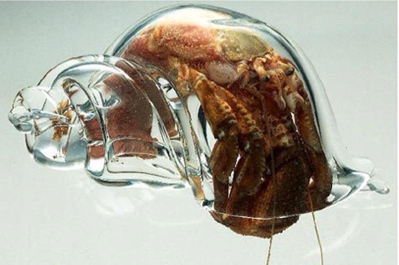 <a href=" http://www.glassshell.com/Site_3/Home.html " target="_blank">link</a>