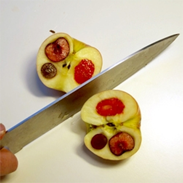 <a href=" http://papoirier.org/projects/degree_exhibition.php " target="_blank">link</a>