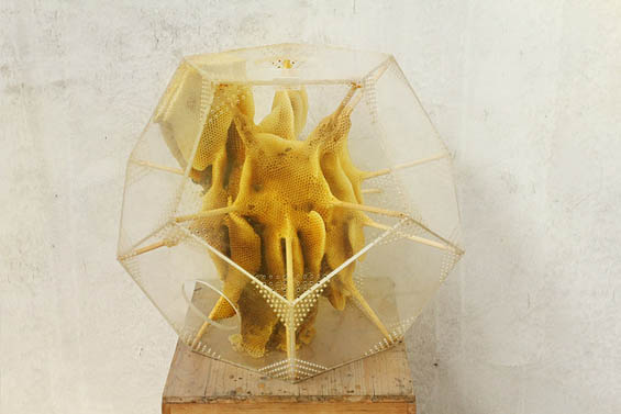 <a href=" https://news.artnet.com/art-world/artists-honeycomb-sculptures-made-by-bees-spark-buzz-56554 " target="_blank">link</a>