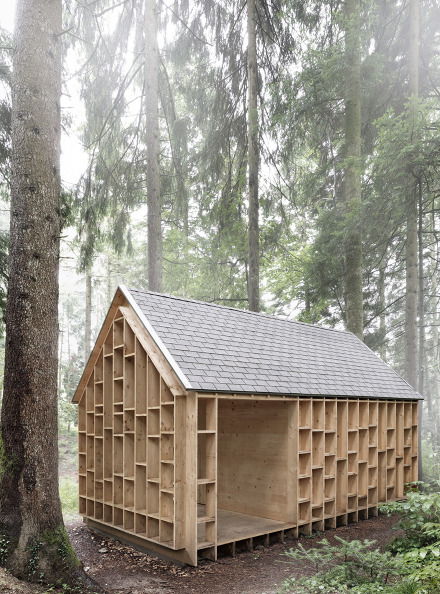 <a href=" http://www.berndriegger.com/NEWS-Adolf-Bereuter-fotografiert-das-Haus-der-Waldeulen-in-Wolfurt " target="_blank">link</a>