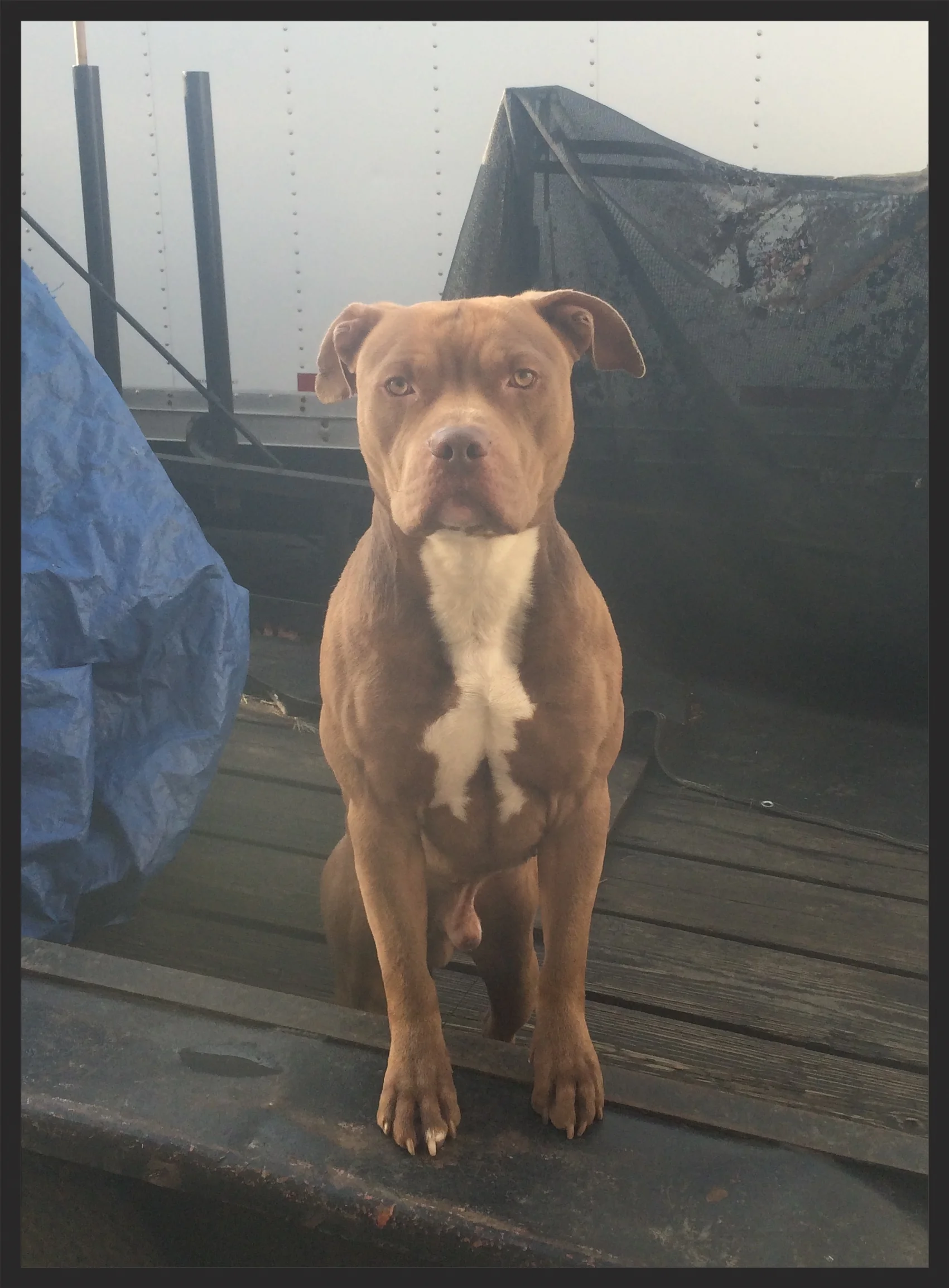 The shop CERBERUS mean mugging.