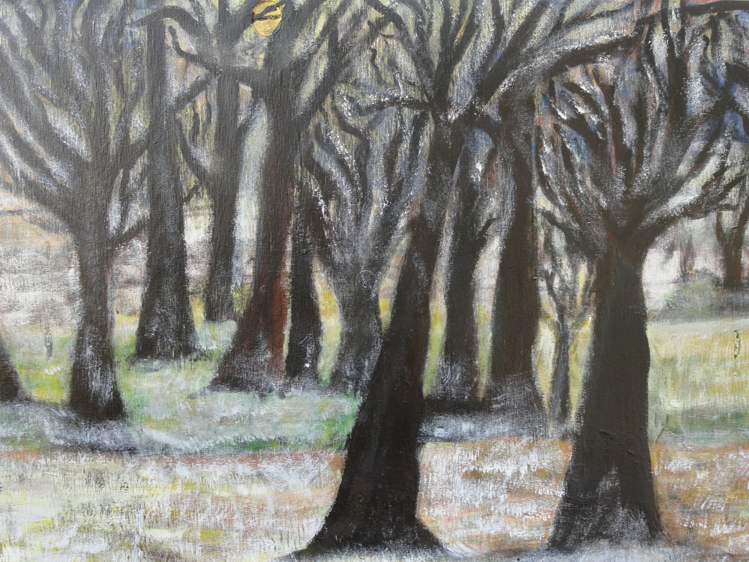 In The Woods