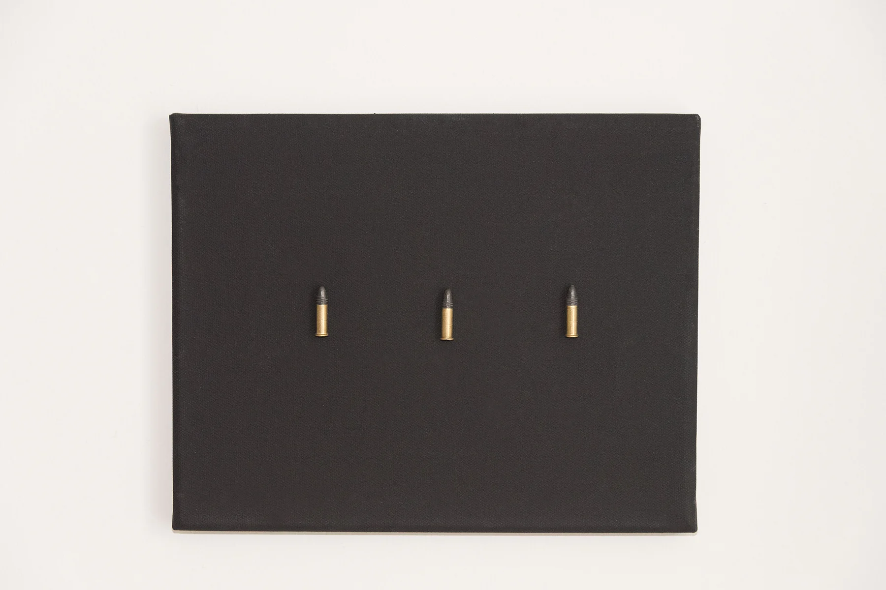 Canvas, .22 Caliber Bullets