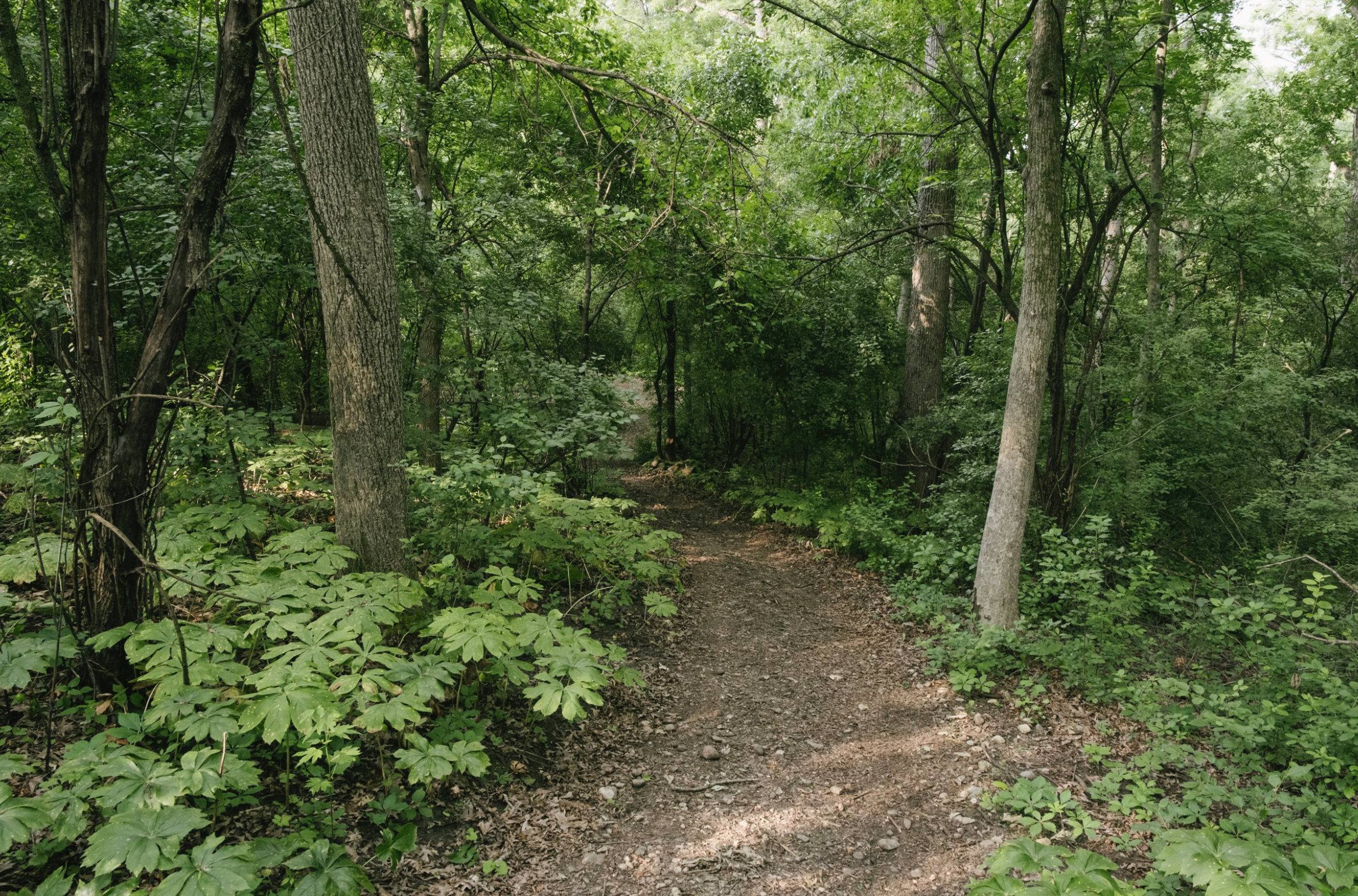 Screenshot 2025-03-21 at 4.13.40 PM.png