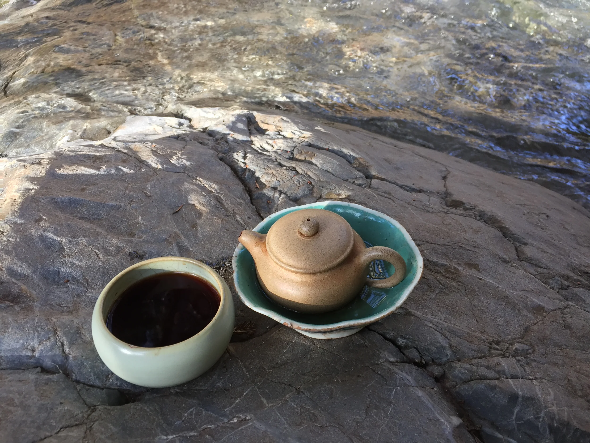 Entering the Bloodstream