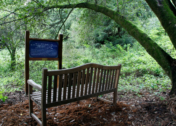 trail-2.jpg