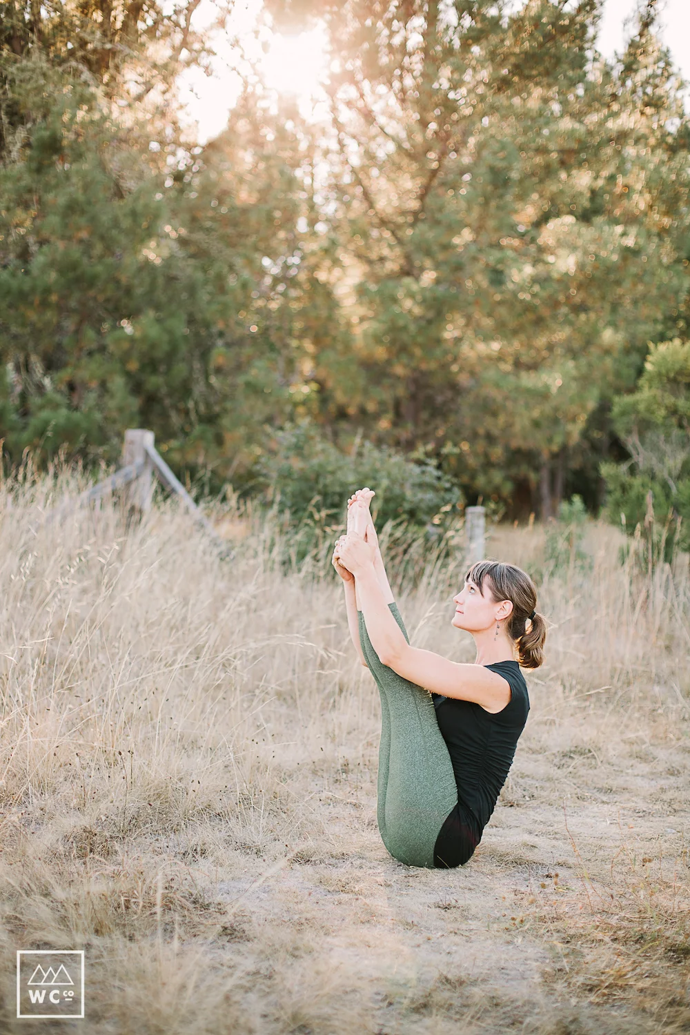 urdhva mukha paschimottanasana.jpg