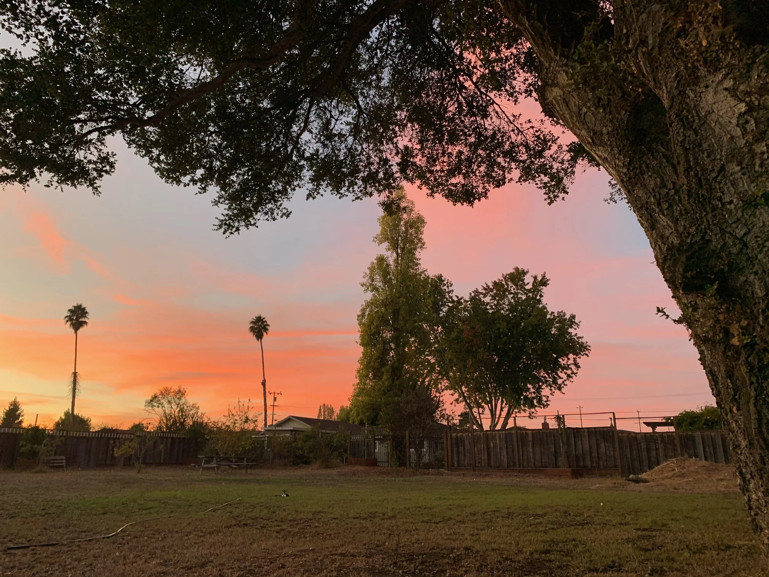 Outdoor Workshop: Sat, Oct 3 