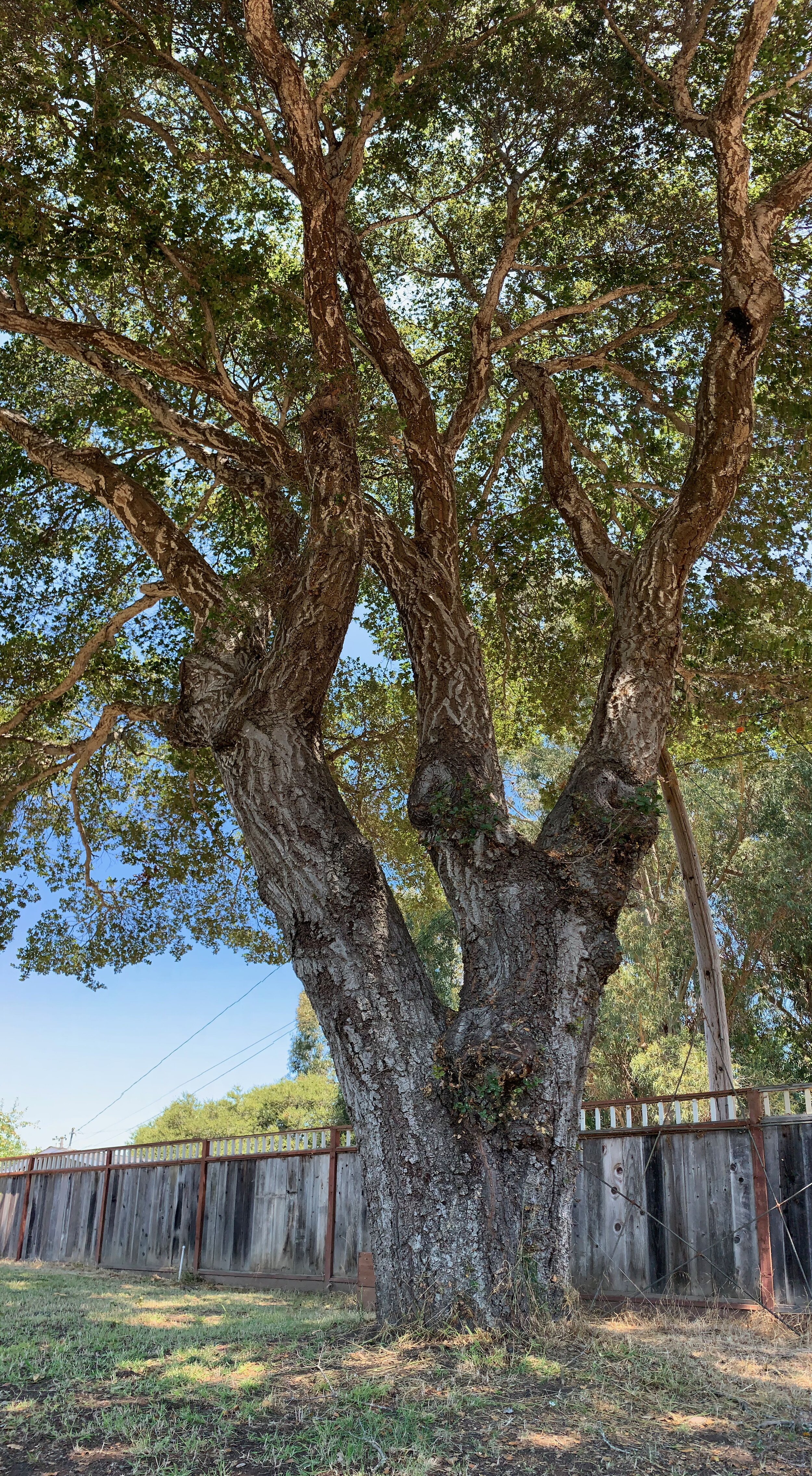 Outdoor Workshop: The Space Between 