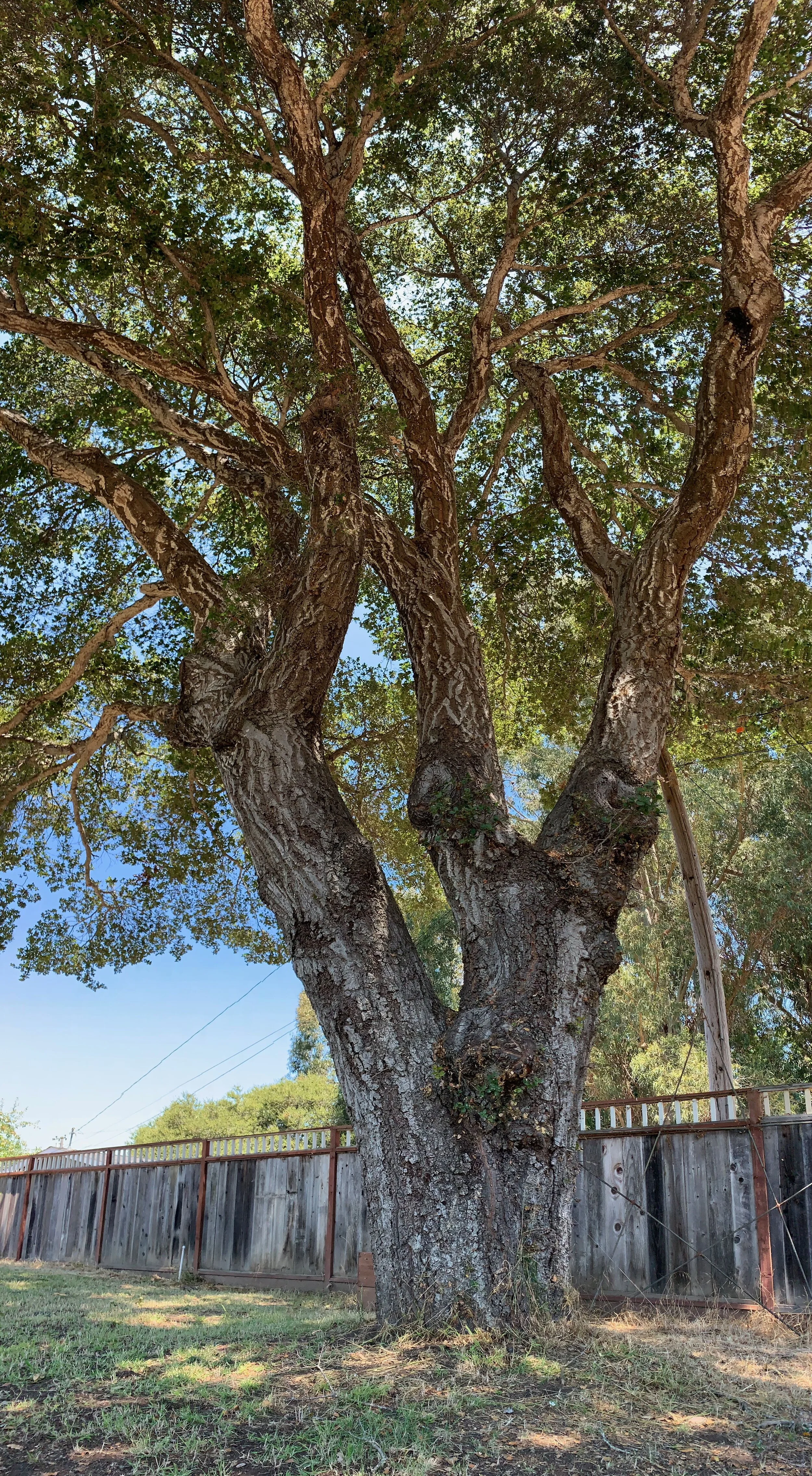 Outdoor Workshop: Sat, Oct 10