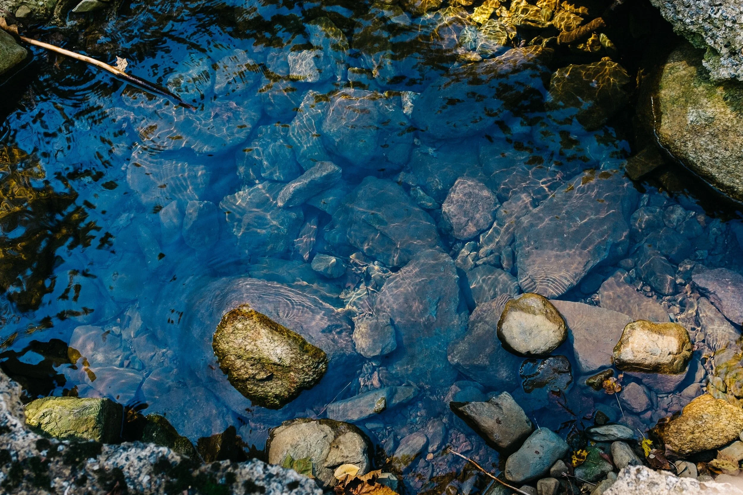 4-Week Zoom Asana Series: Facing the Current