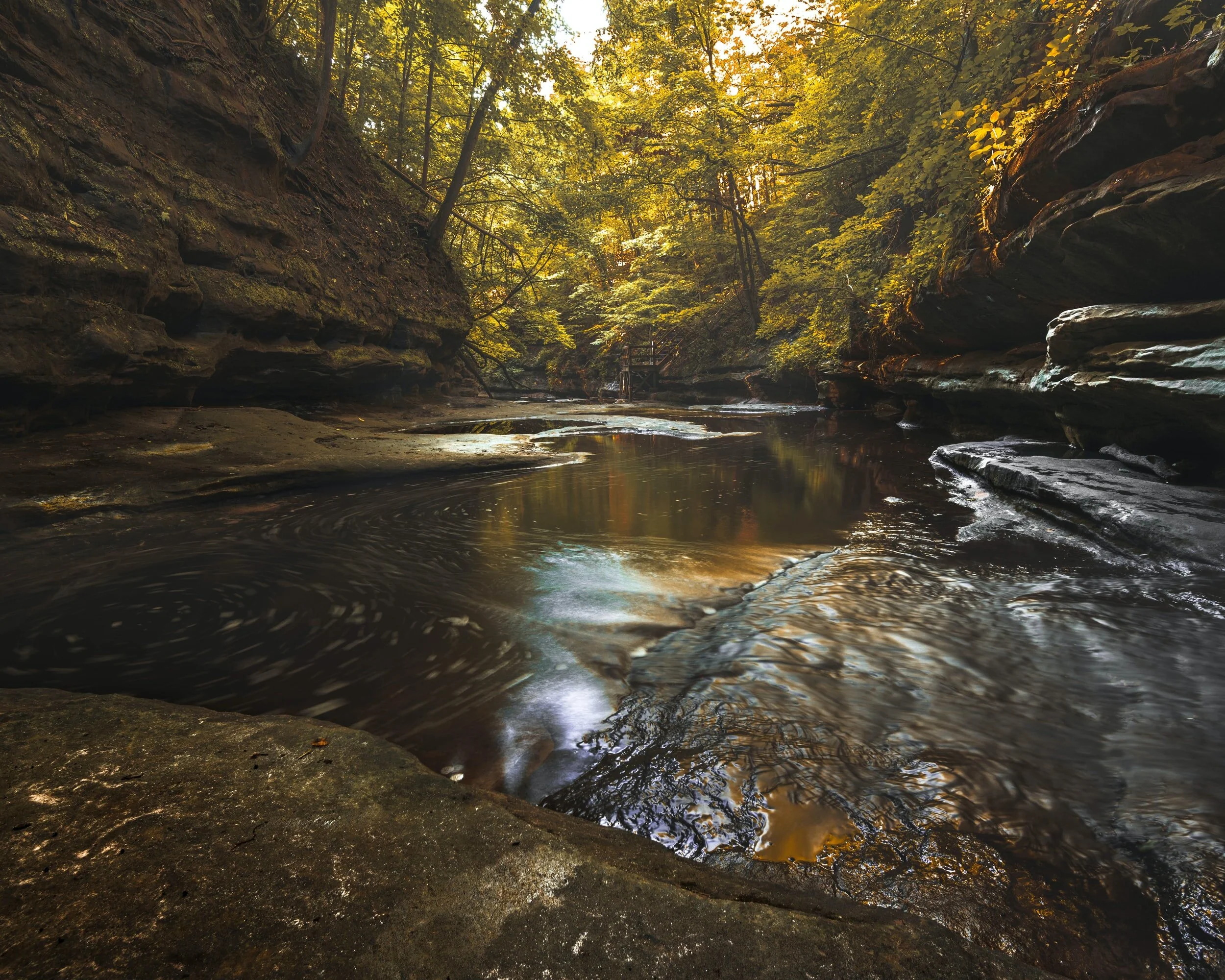 4-Week Zoom SATYA Series: Facing the Current