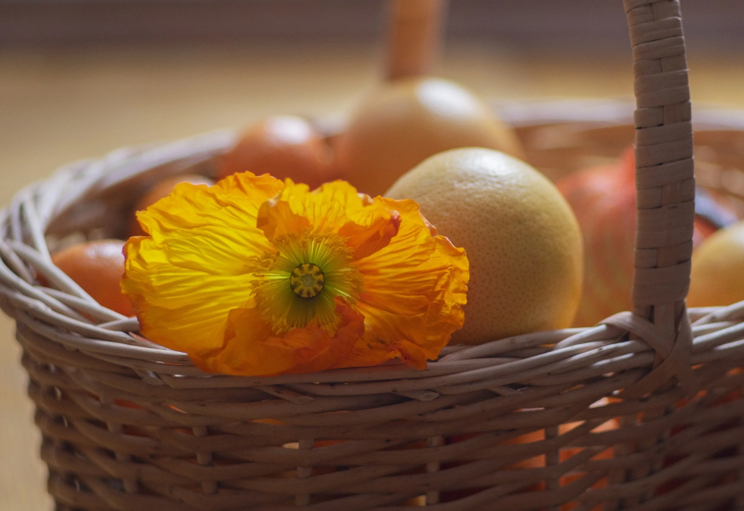 Autumn Equinox: A Special Drop-In Class