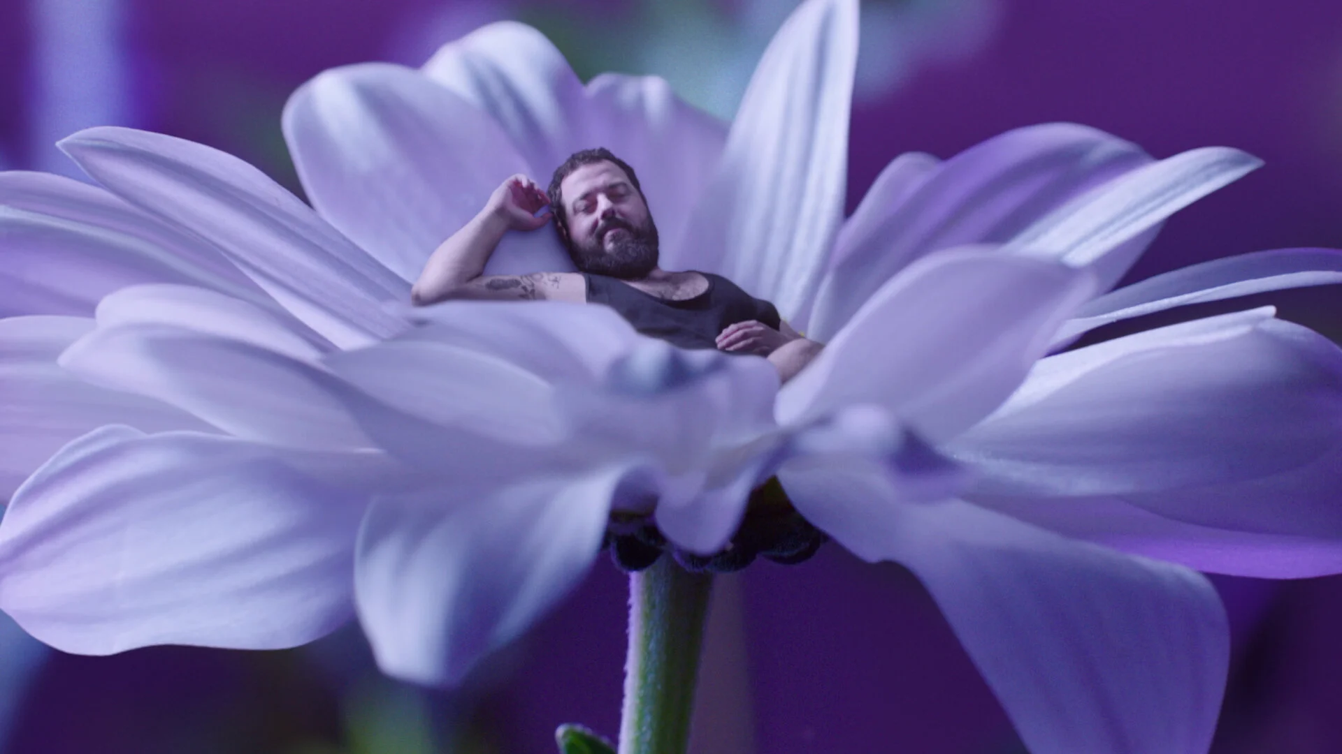 PureZzz_frame_04.jpg