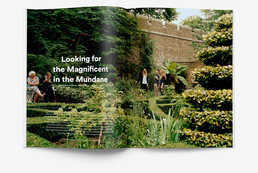 Pineapple magazing by Airbnb