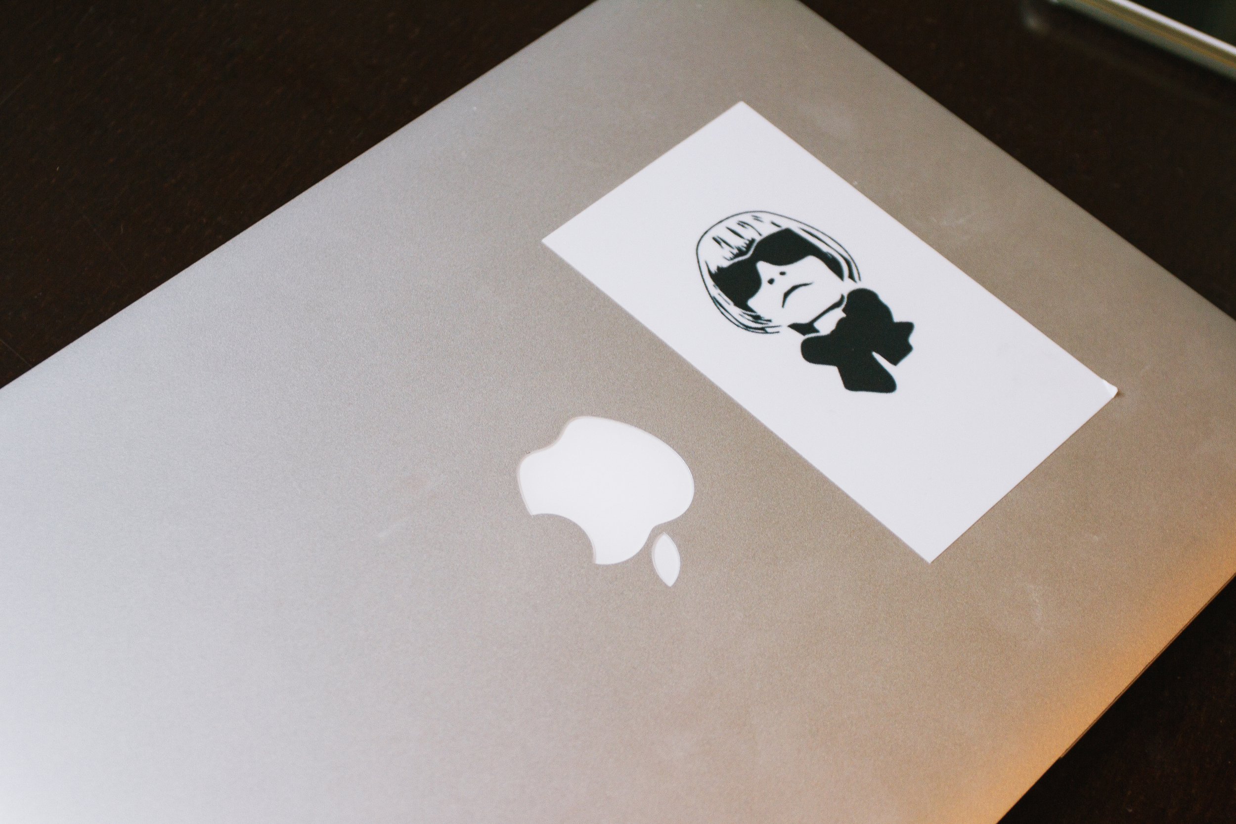   Rona's laptop featuring Anna Wintour. "It reminds me to say on my game. You never know when she's gonna call." &nbsp; 