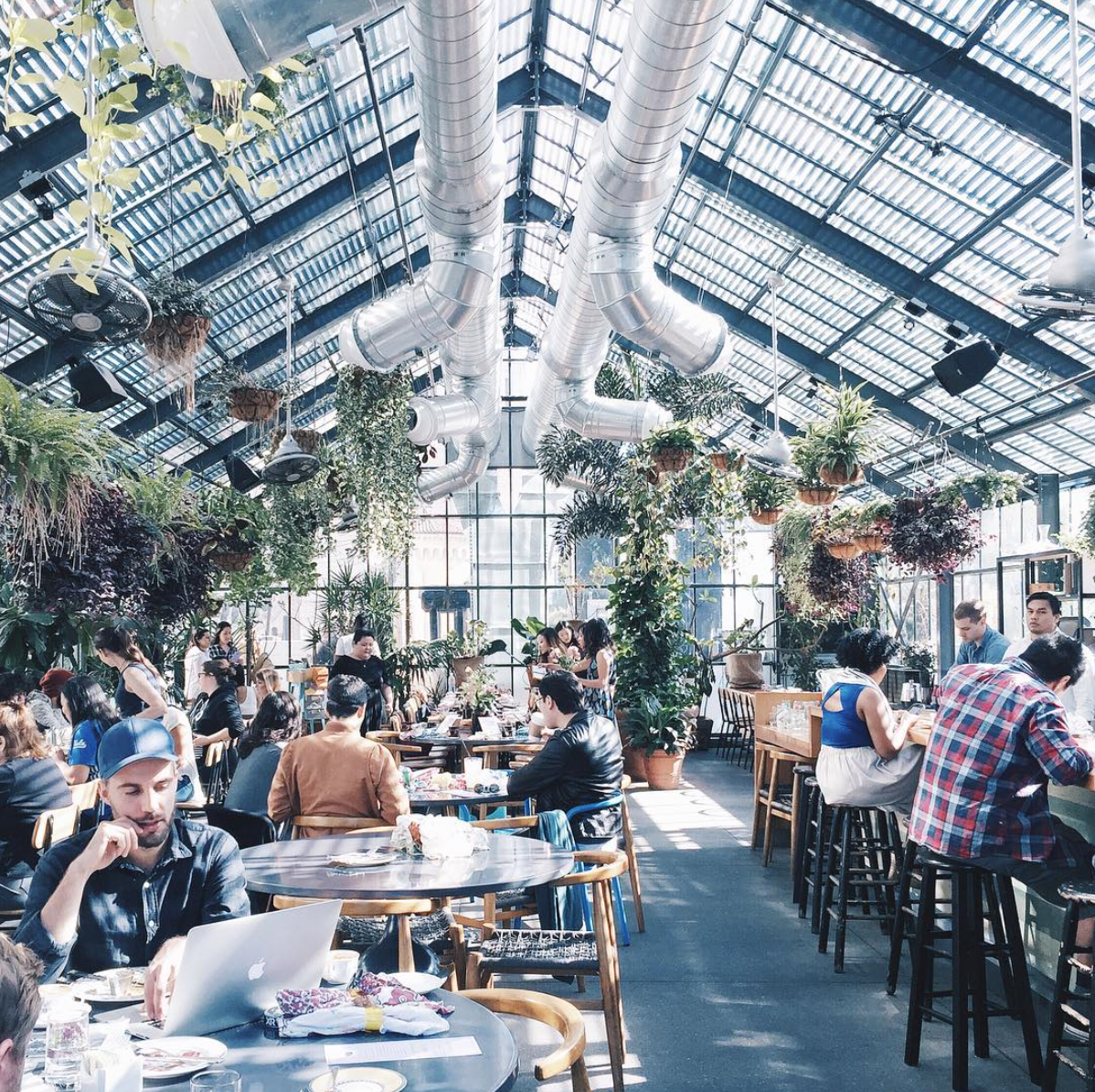 There is actually not a single bad angle inside Commissary, the much-loved restaurant set inside a greenhouse. Set beside the shimmering pool it has all the amenities of a private club that's open to the public. Credit: The Awesome Candle