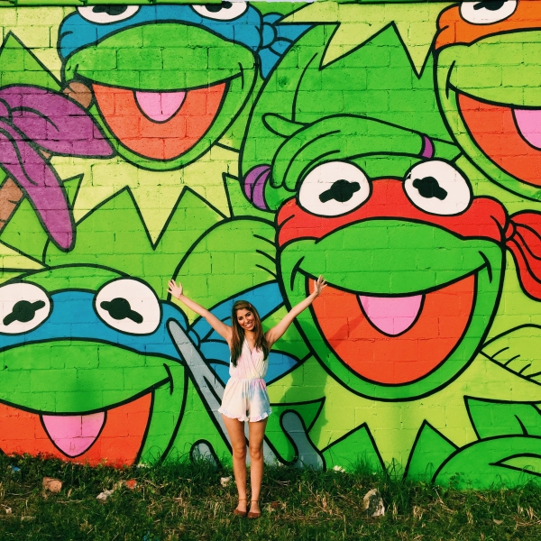 Jerk Face Kermit Wall - Bradley St. + Dekalb Ave