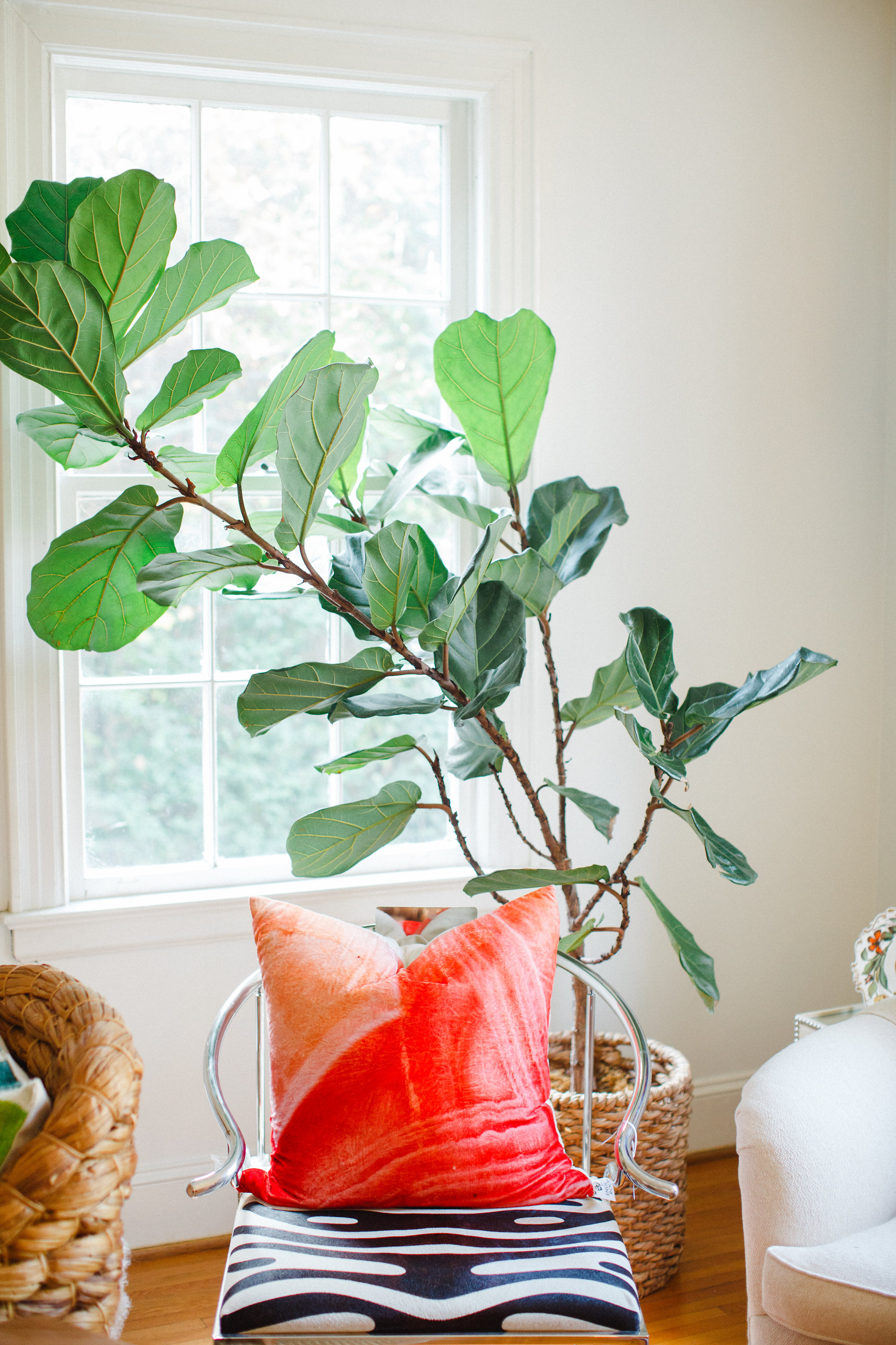 CreateCultivate-83.jpg