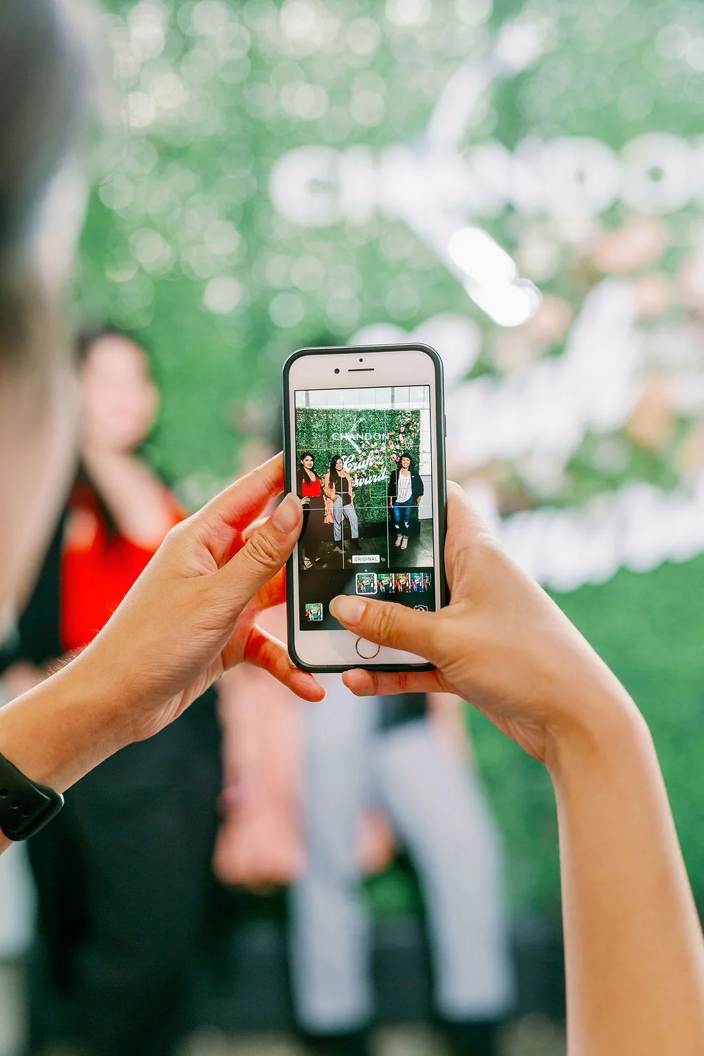 Download Alert: This Design App Will Up Your IG Game (and Save You Serious Time and Money)