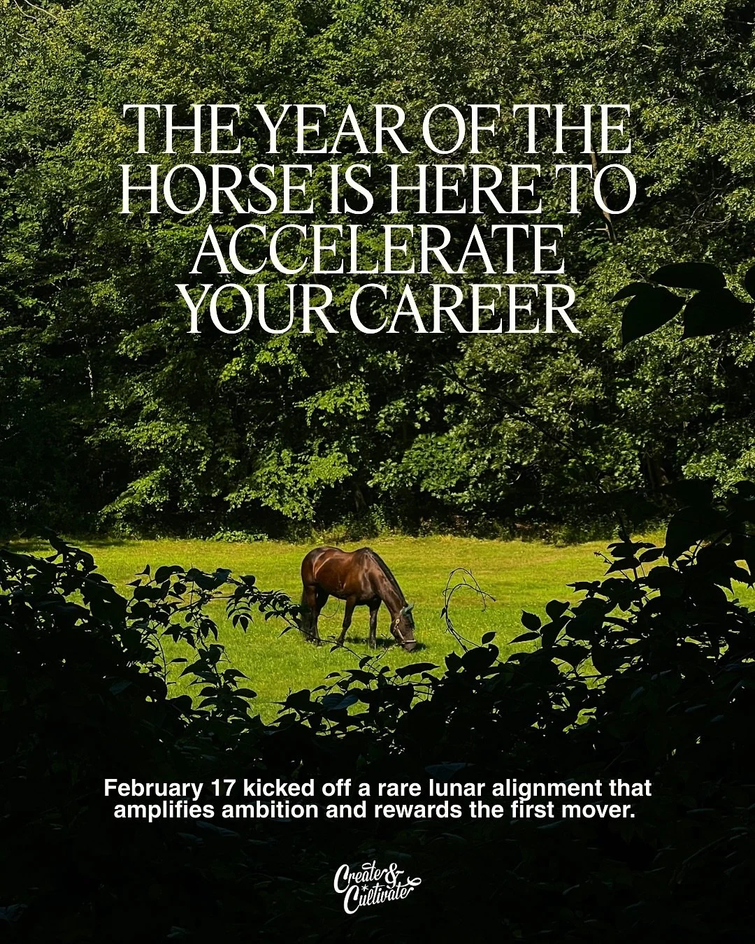 If you&rsquo;ve been waiting for a sign to move, this is it. 🐎✨⁠
⁠
The Year of the Horse is all about momentum. Think bold decisions, fast pivots, and finally hitting send on the idea you&rsquo;ve been sitting on.⁠
⁠
This cycle is pushing independen