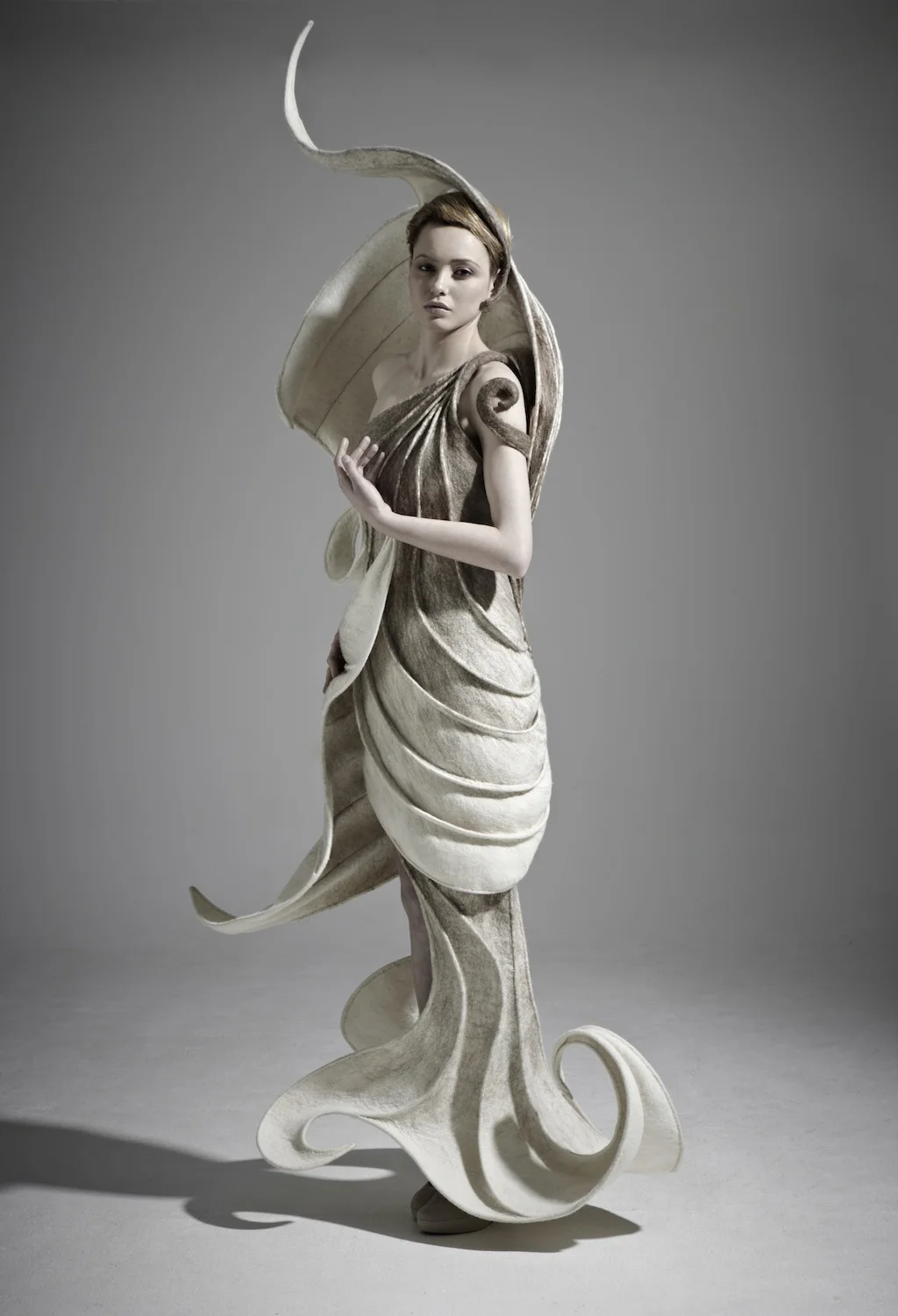 kirsten 8029-f.jpg