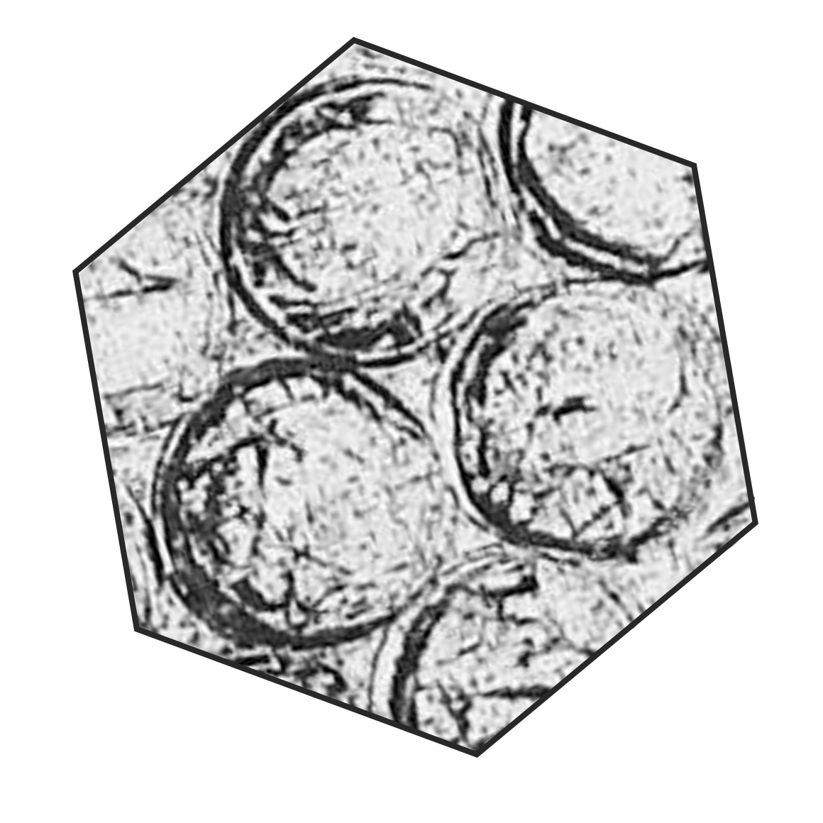Button 3.png