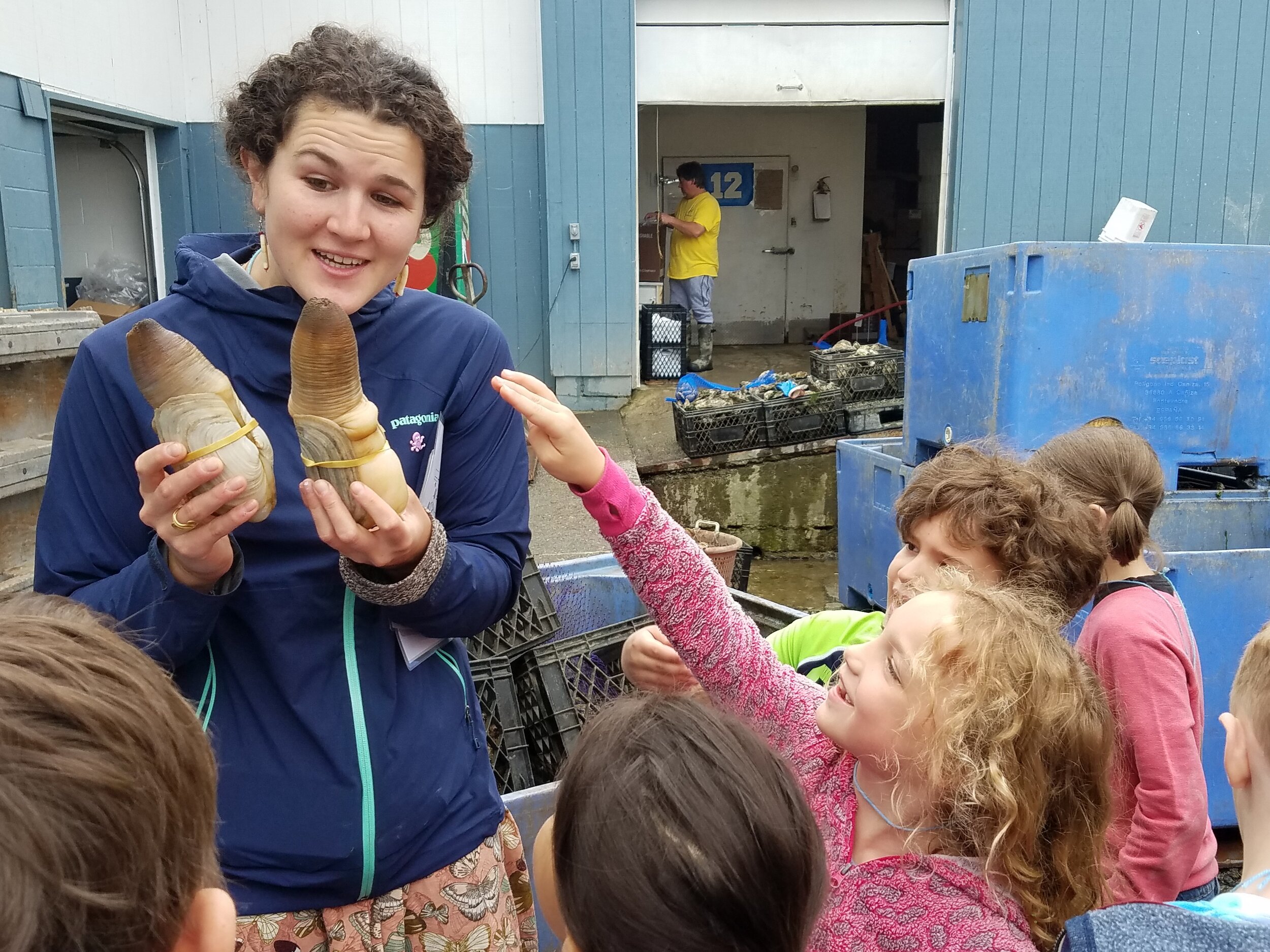  Learning about geoducks at National Fish &amp; Oyster. 