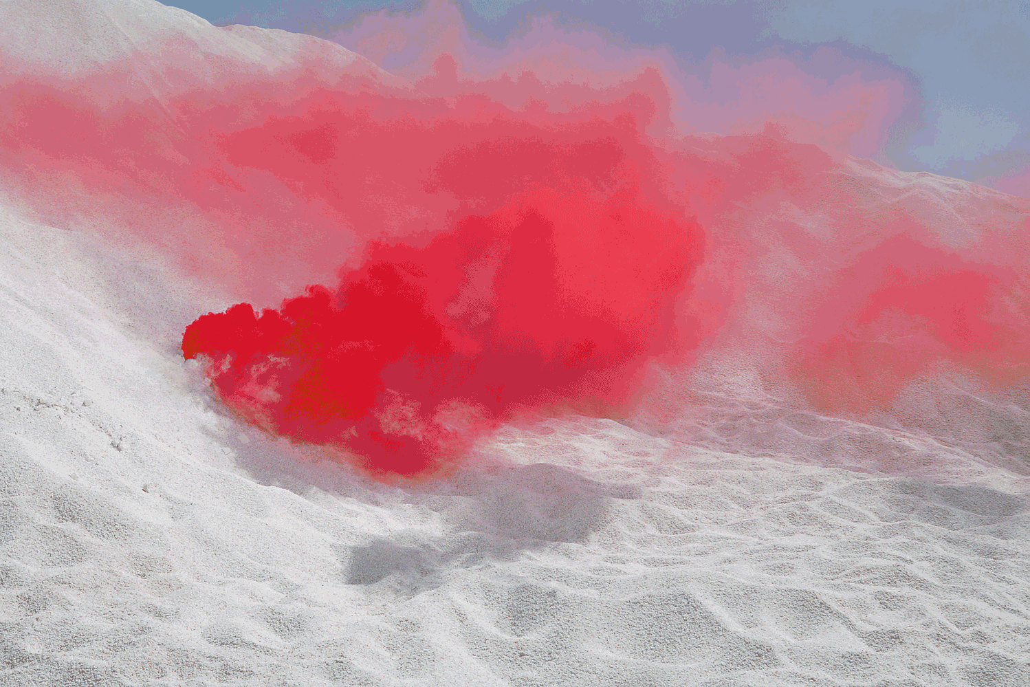 1MULTICOLOR1.gif