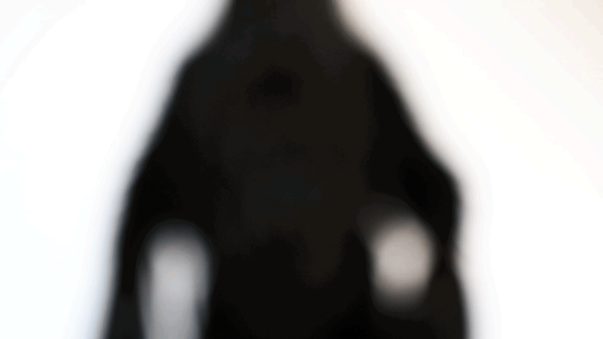FANIMALIA.gif
