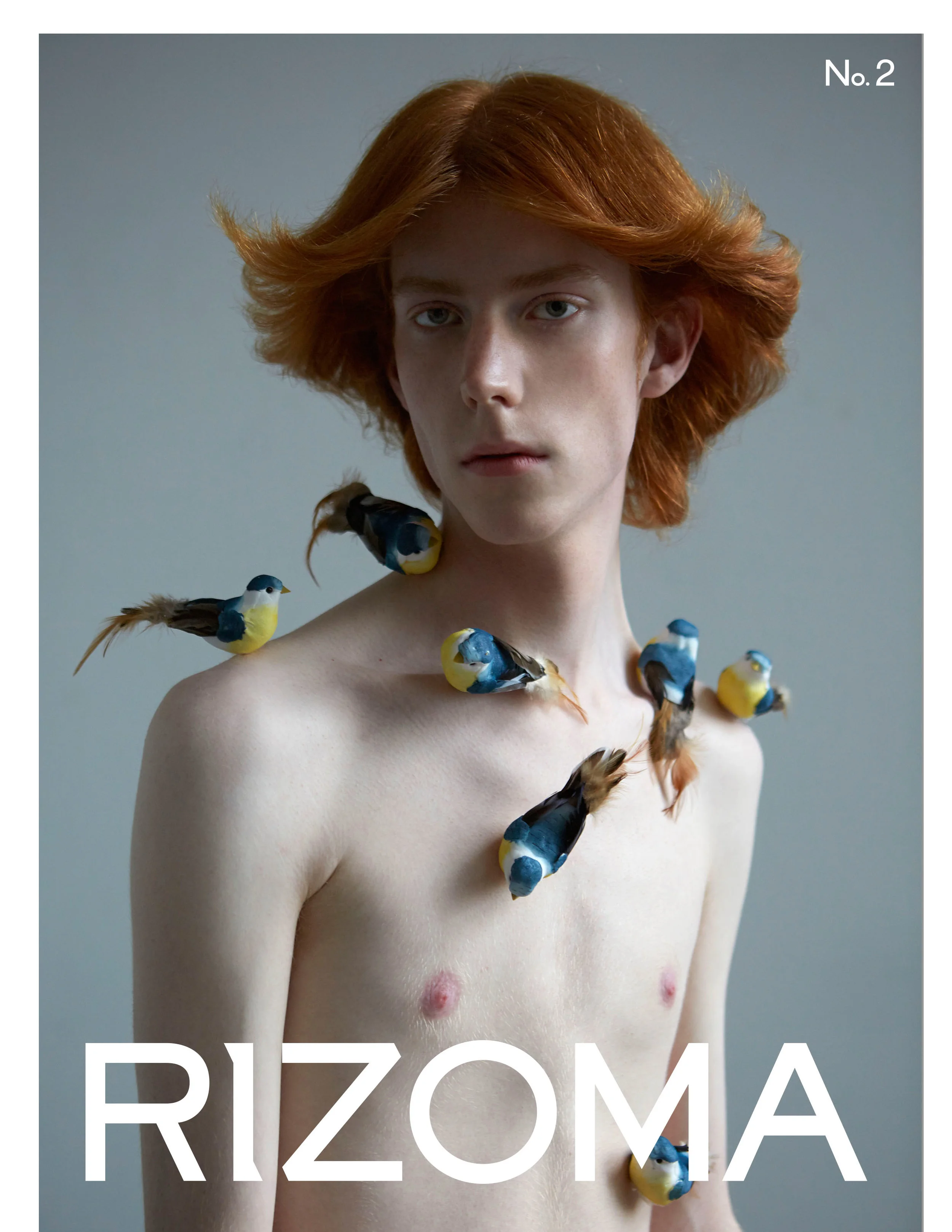 2RHIZOME-COVER-TEMPLATE.jpg