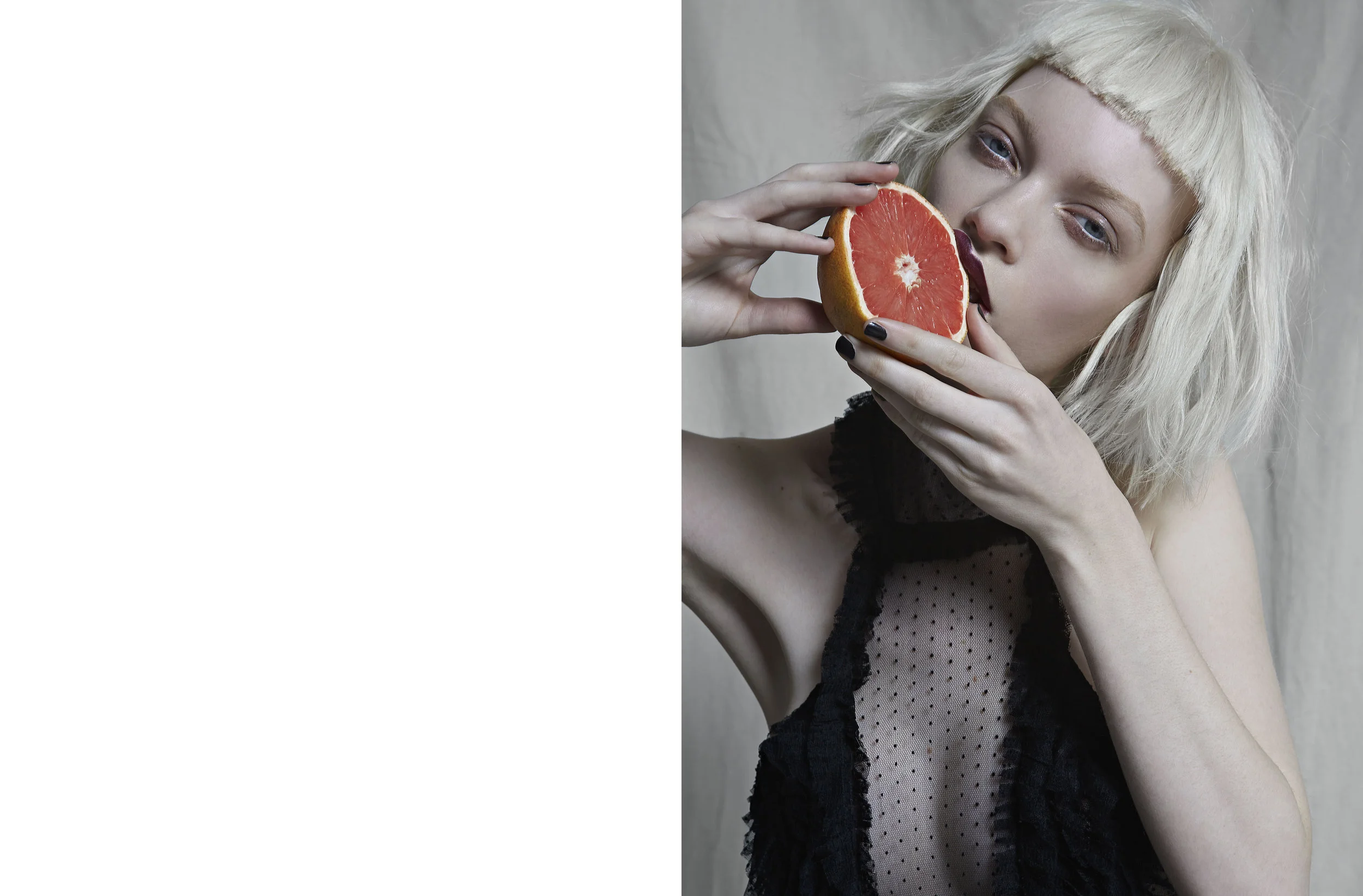 a4FCorrectedLIAR17188 .jpg