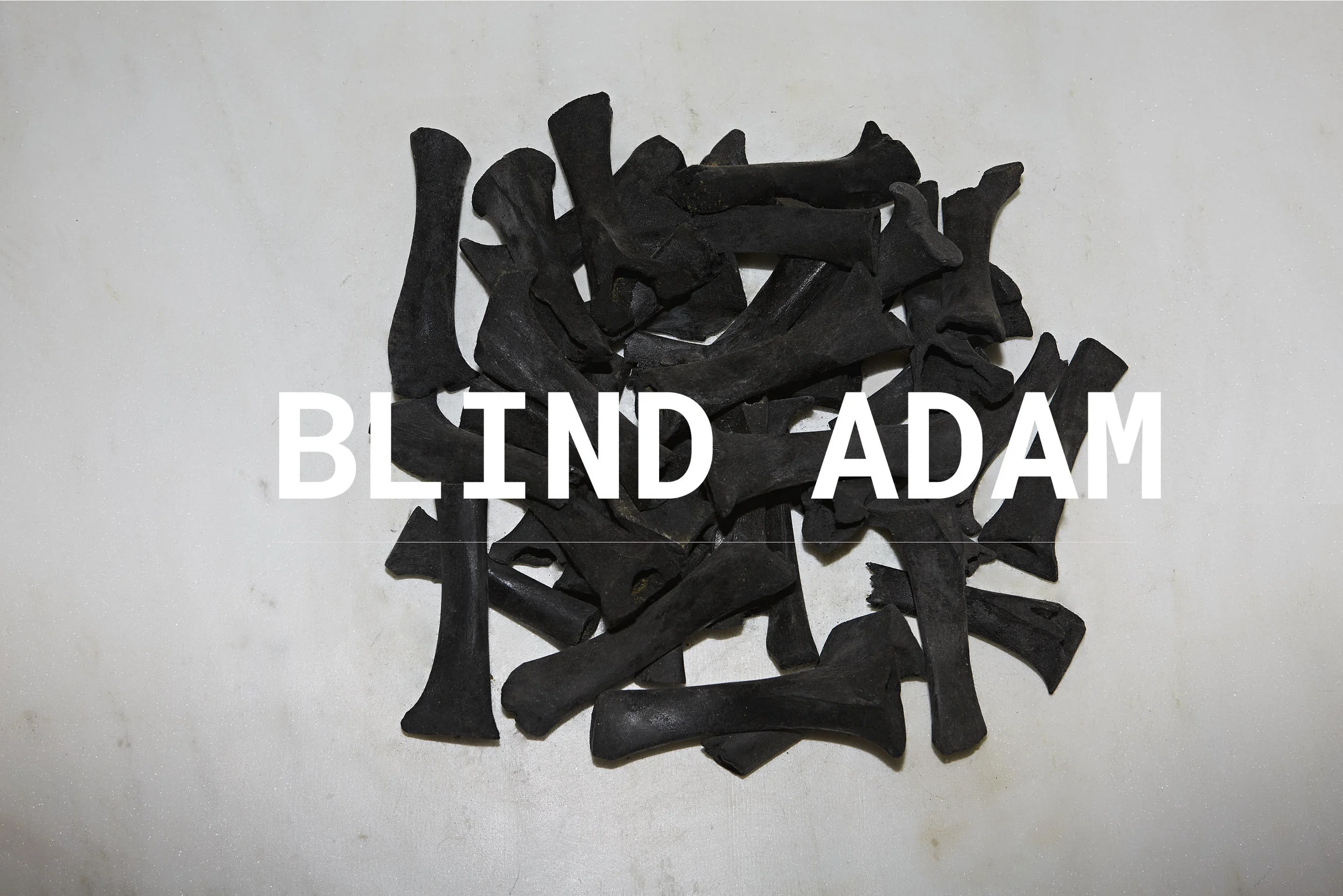 BLIND ADAM.jpg
