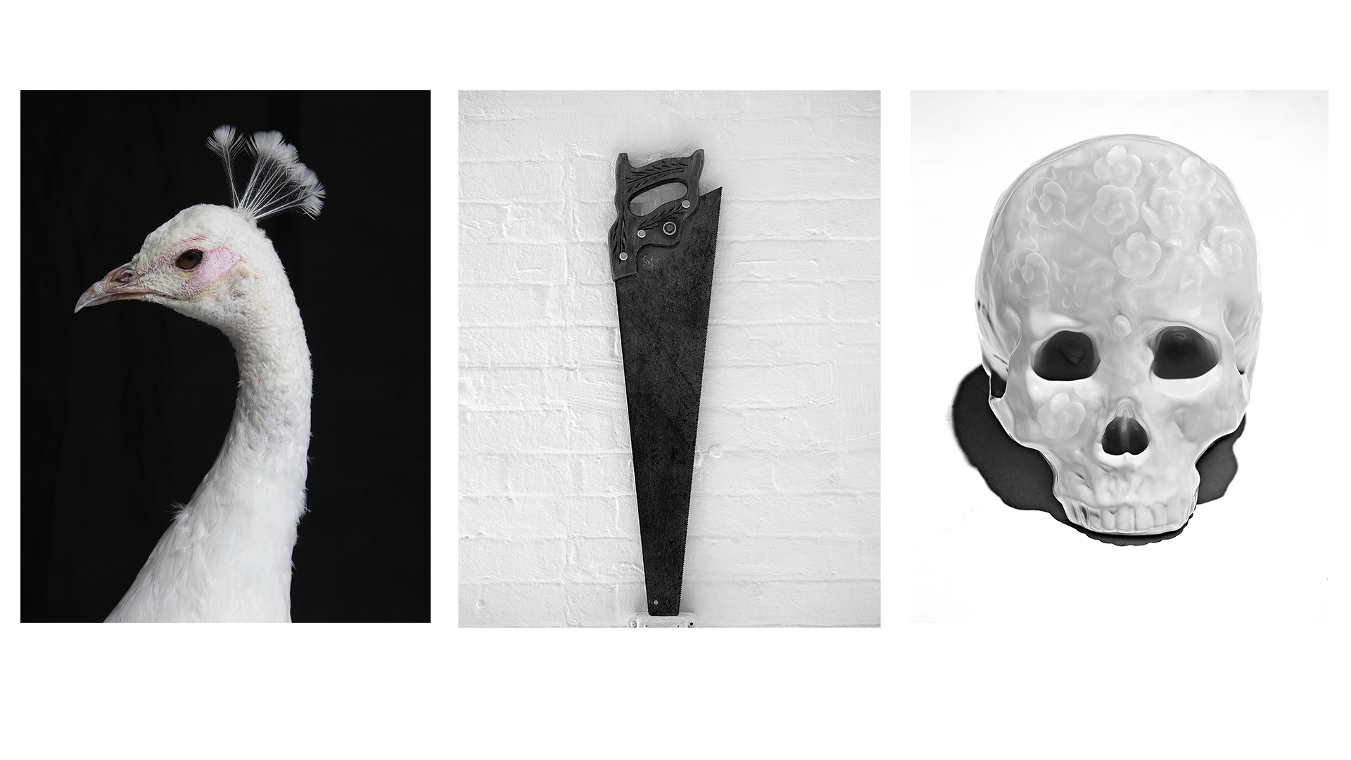 Artboard 3.png