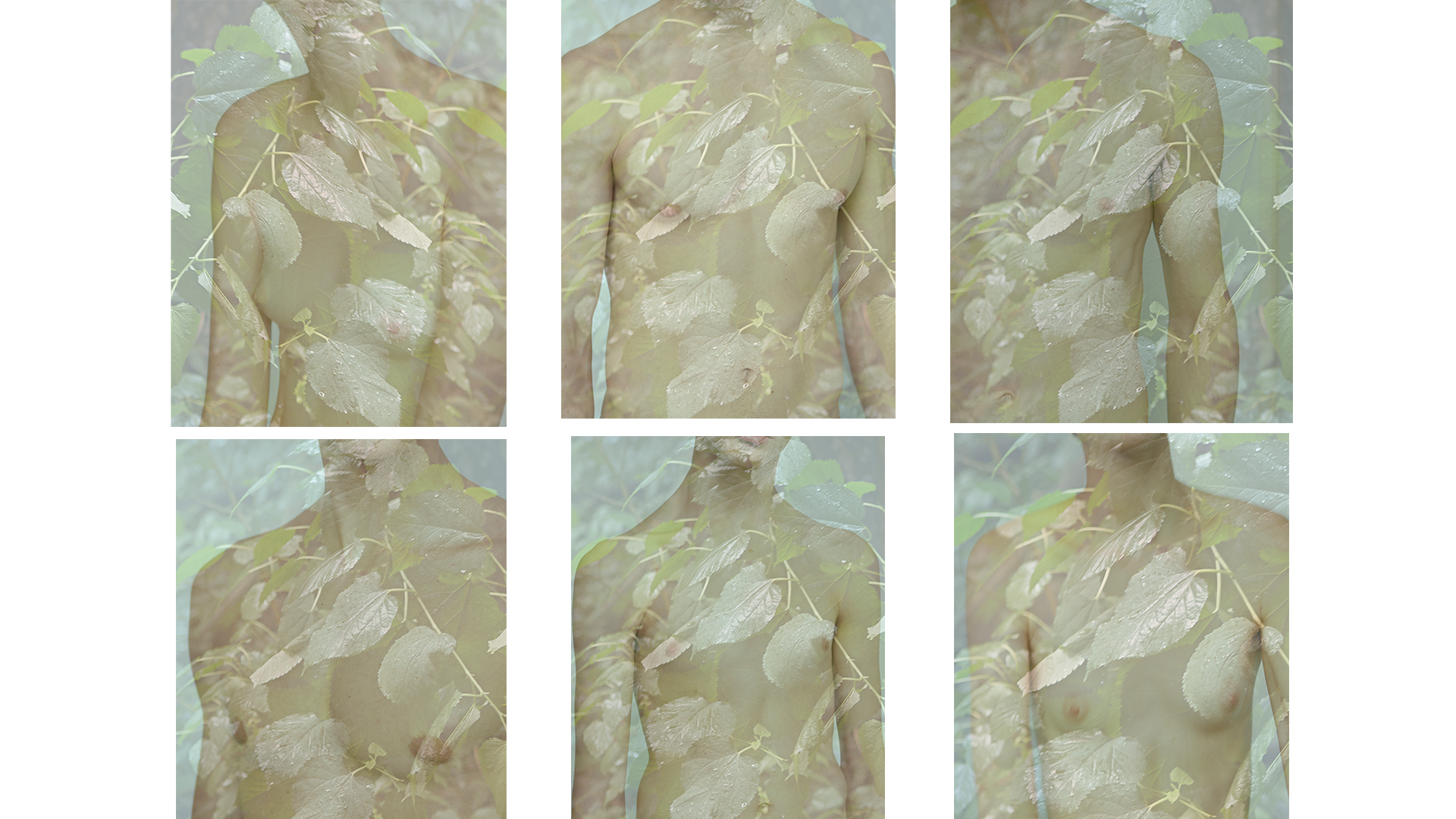 Artboard 4.png
