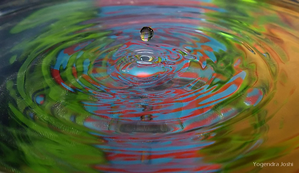 Your Drop in The Bucket Counts – Climate Change and The Economy