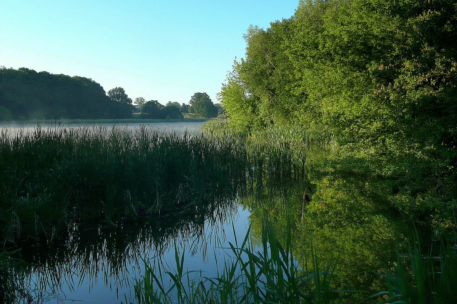 Quinoa Apparel Achieves BLUEdot Register Certified Carbon Neutral Status