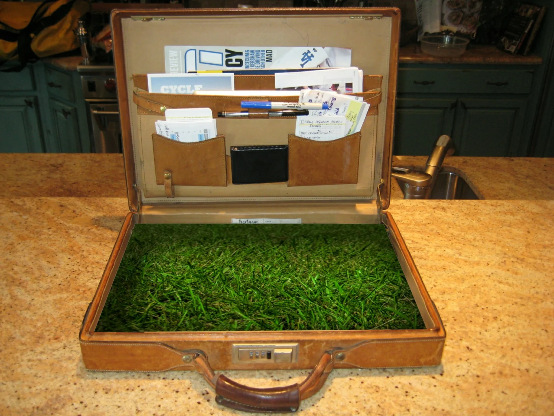 Carbon Neutral Business is Sustainable Business