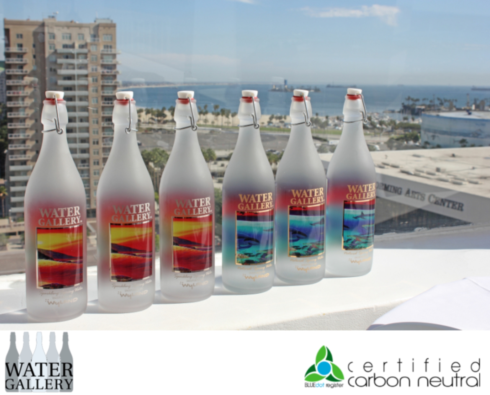 6 bottles with logos.jpg